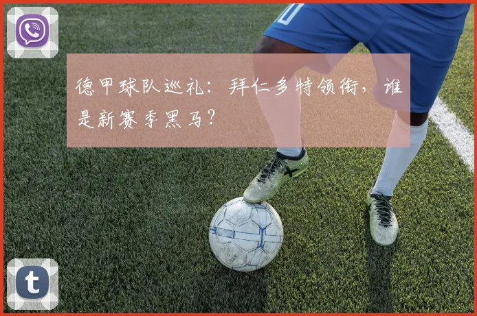 德甲球队巡礼：拜仁多特领衔，谁是新赛季黑马？